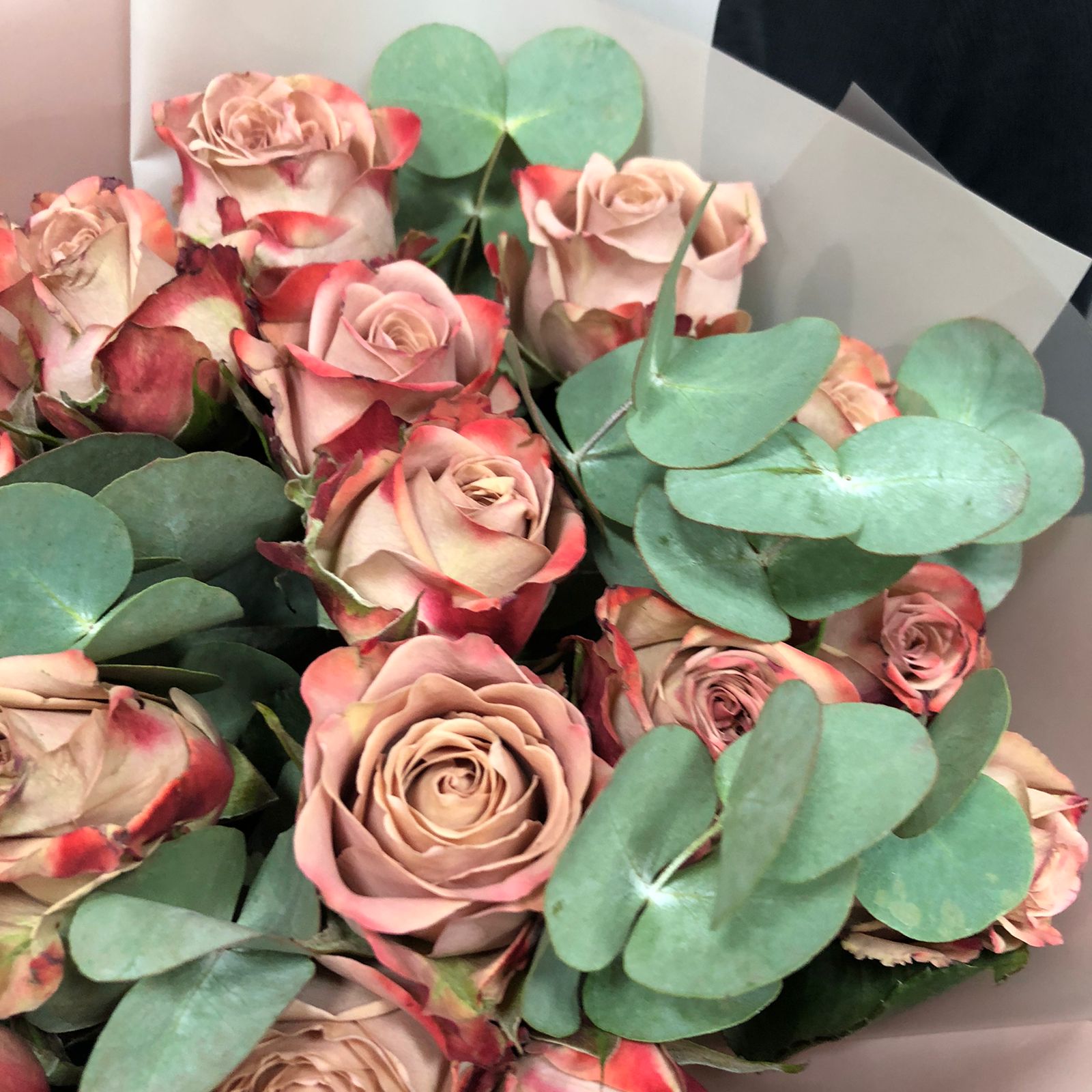 Розы Капучино  -  букет из 19 роз с эвкалиптом
