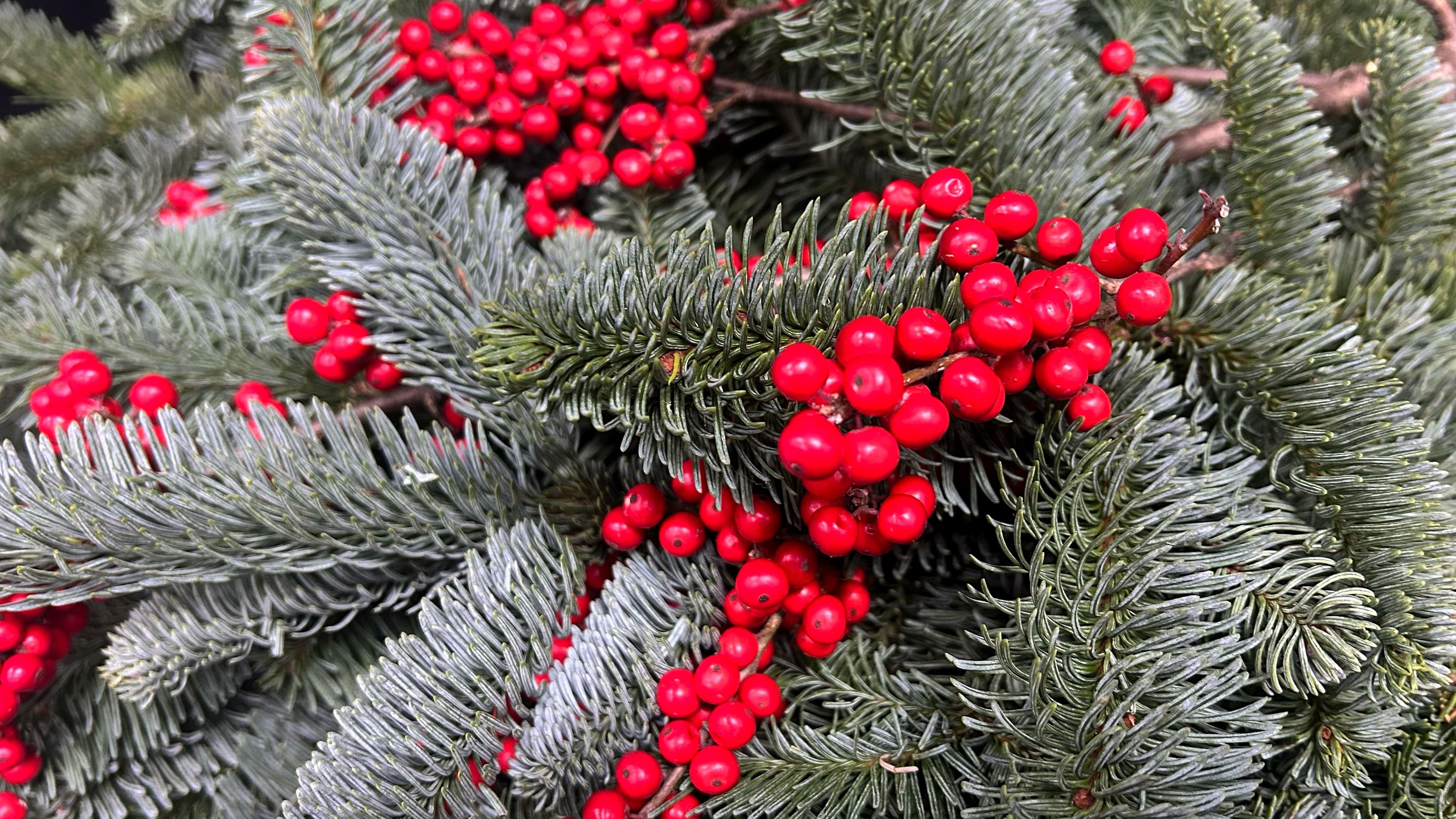 Скидка 20% по промокоду “Зима” на первый заказ через приложение