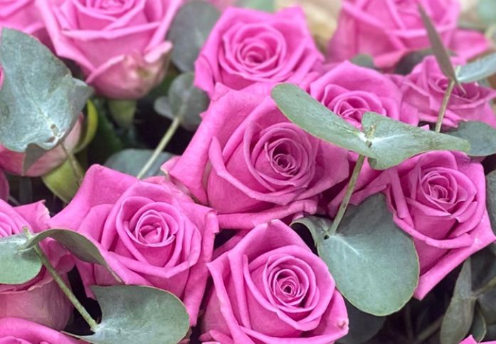 Букет из 19 розовых роз и эвкалипта