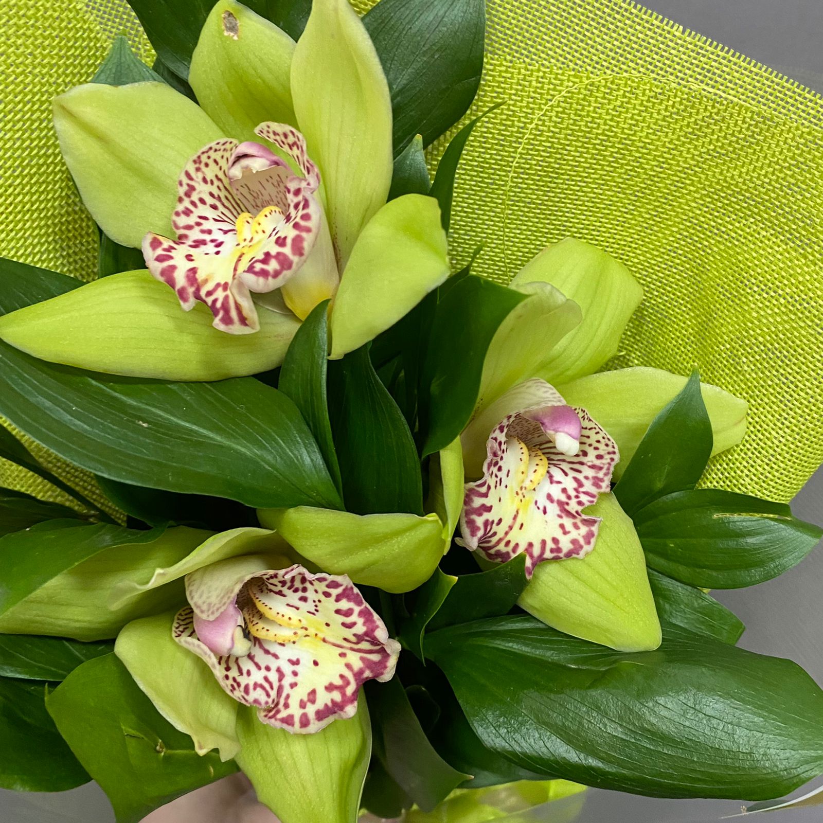 Букет-комплимент  из 3 зеленых орхидей