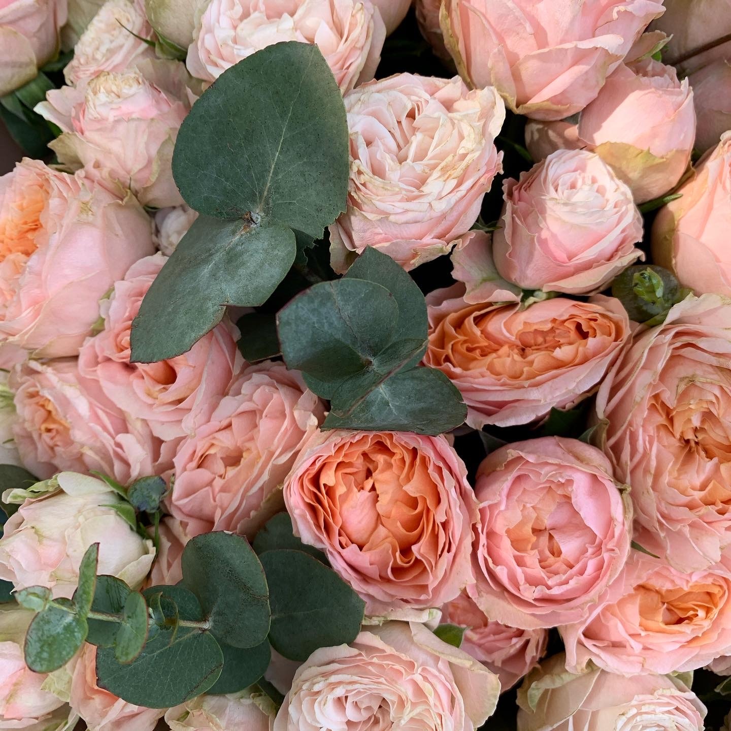 Букет из персиковых пионовидных кустовых роз и эвкалипта