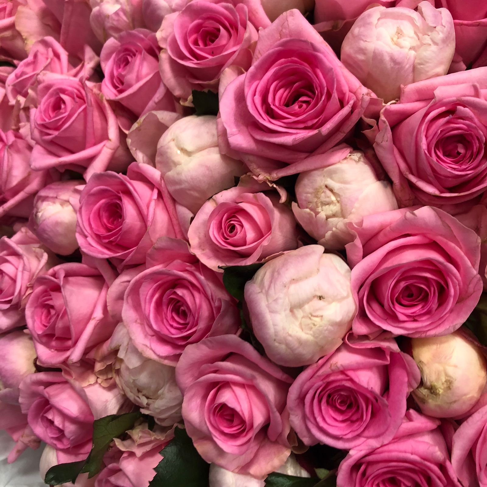 Микс из розовых роз и пионов