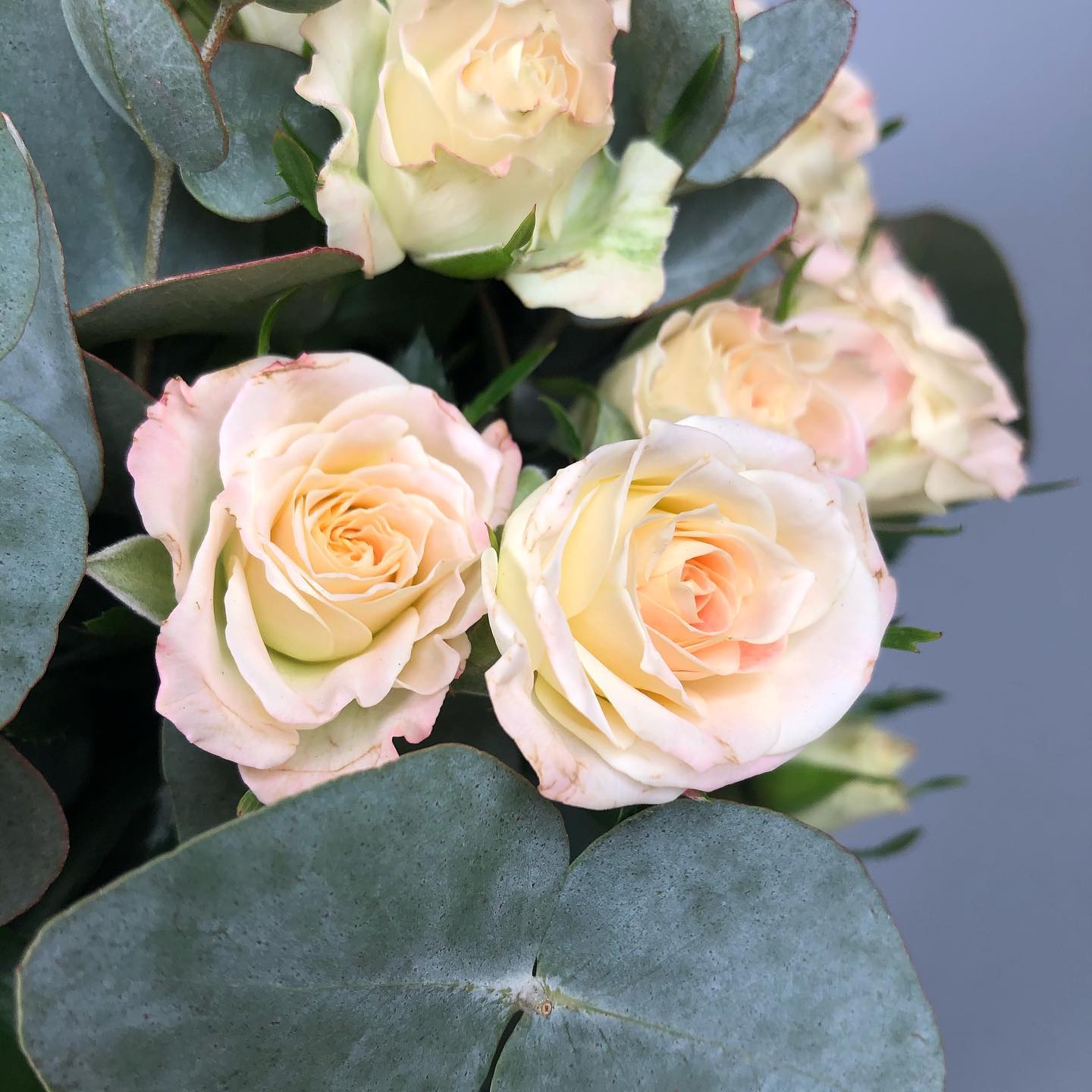 Букет из персиковых кустовых роз и эвкалипта