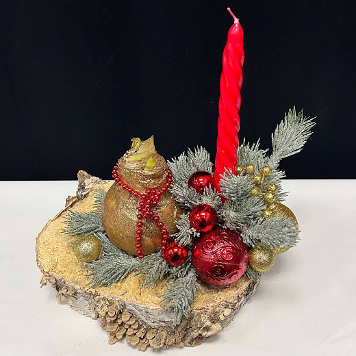 Луковица амариллиса в воске ( золотая, с Новогодним декором и красной свечой / сруб дерева) по лучшей цене в Москве Луковица амариллиса в воске ( золотая, с Новогодним декором и красной свечой / сруб дерева) с доставкой в Москве