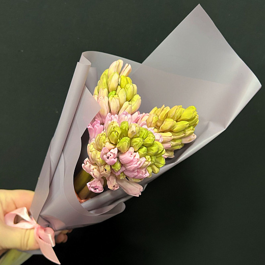 Букет из 3 розовых гиацинтов в серой пленке с доставкой в Москве