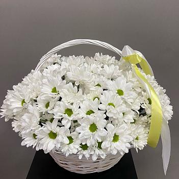 Букет из белых кустовых хризантем в корзине (15 шт)
