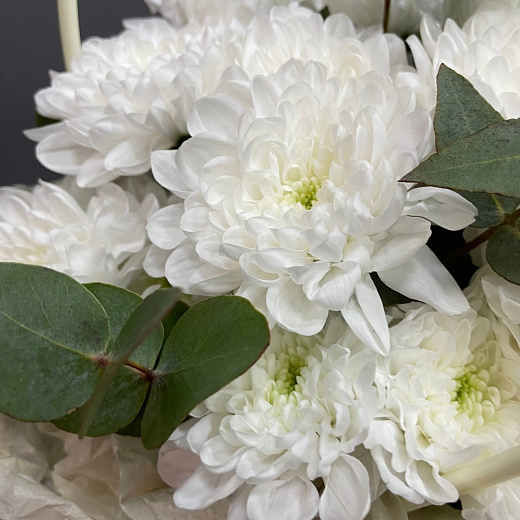 Букет из 3 хризантем с эвкалиптом в сумочке с доставкой в Москве