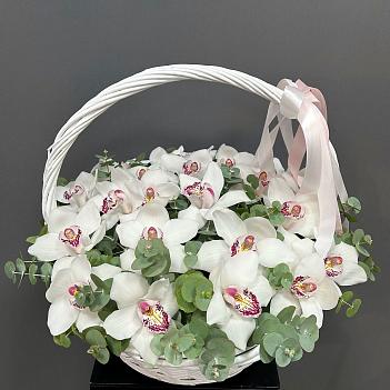 Букет из белых орхидей в корзине ( 25 шт)