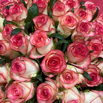 Букет из 51 розы Джумилия