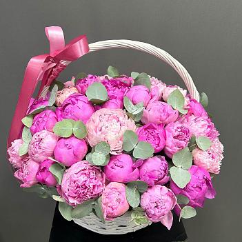 Букет из 51 розового пиона в корзине