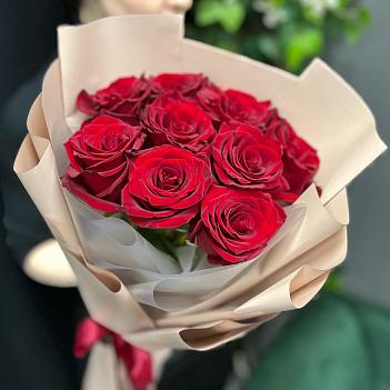 Монобукет из 9 красного эквадора в нежной упаковке 