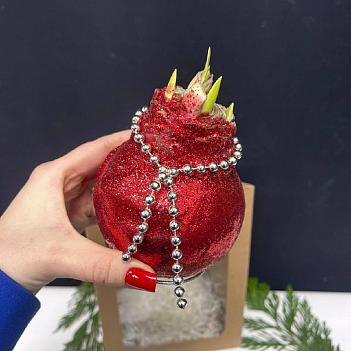 Луковица амариллиса в воске с вазой ( красные блёстки)+крафтовый пакет Луковица амариллиса в воске с вазой ( красные блёстки)+крафтовый пакет