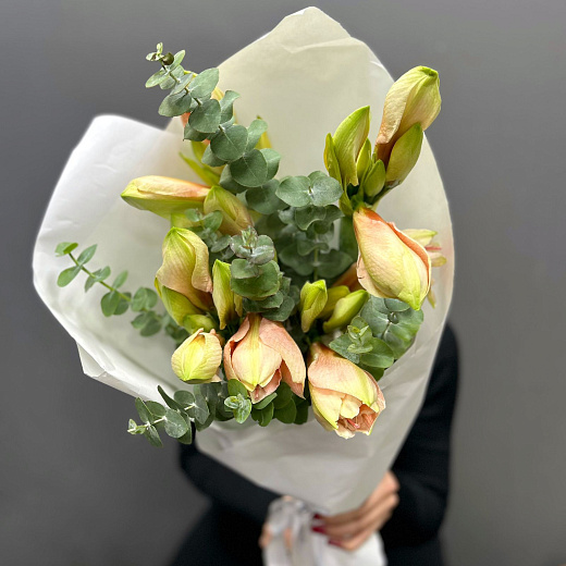 Монобукет из 5 персиковых амариллисов в белом крафте по лучшей цене в Москве Монобукет из 5 персиковых амариллисов в белом крафте с доставкой в Москве