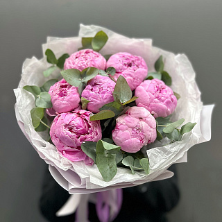 Монобукет из 7 пионов Сара Бернар Чили 