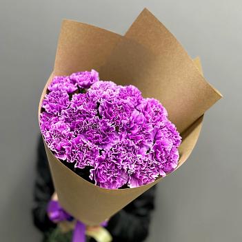 Монобукет из 19 фиолетовых гвоздик в крафте 