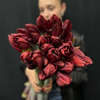 Монобукет из 9 красных амариллисов под ленту Монобукет из 9 красных амариллисов под ленту