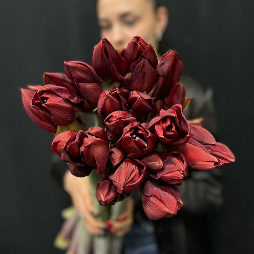 Монобукет из 9 красных амариллисов под ленту  по лучшей цене в Москве Монобукет из 9 красных амариллисов под ленту  с доставкой в Москве