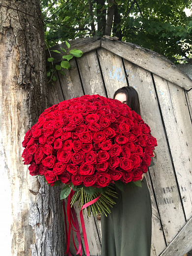 151 роза - красные розы 70 см