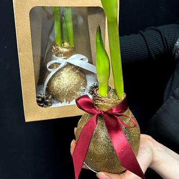 Луковица амариллиса в воске (золото, большая)