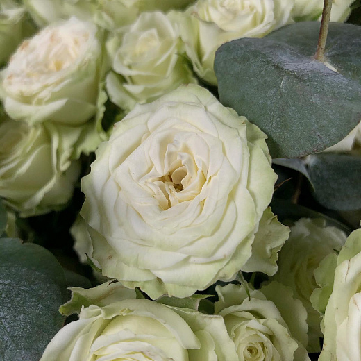 Букет из бело-зеленых кустовых роз и эвкалипта