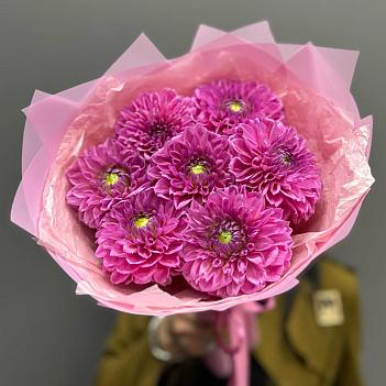 Букет из 7 розовых сезонных георгин