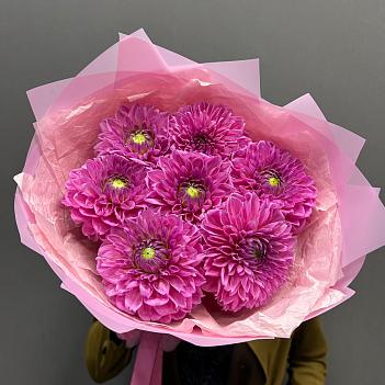 Букет из 7 розовых сезонных георгин