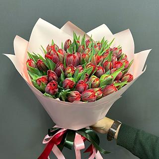 49 красных пионовидных тюльпанов