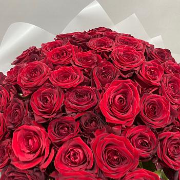 Букет из 51 красной розы в матовой пленке (50 см)