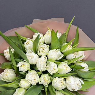 Букет из 25 белых пионовидных тюльпанов