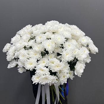 Монобукет из 19 белых кустовых хризантем 