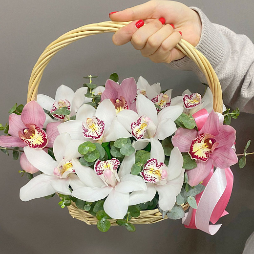 Букет из орхидей в корзине (13 шт)
