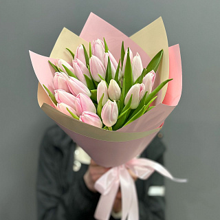 Букет  из 19 бело-розовых тюльпанов