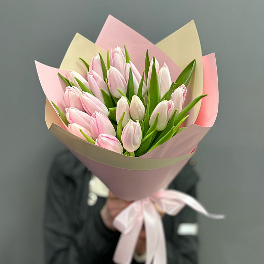 Букет из 19 бело-розовых тюльпанов