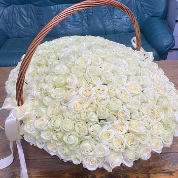Букет из 301 белой розы в корзине