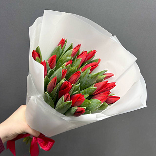 Букет из 25 красных  тюльпанов в белой пленке