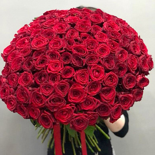 Букет из 151 красной розы ( 80 см)