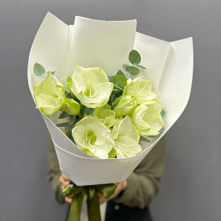 Букет из 3 белых амариллисов с эвкалиптом 