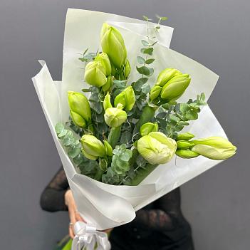 Монобукет из 9 белых амариллисов с эвкалиптом 