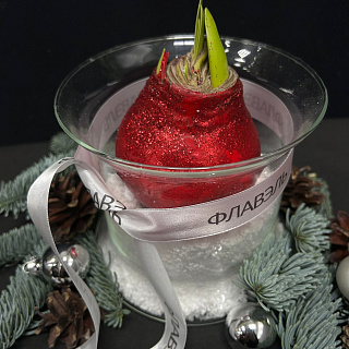 Луковица амариллиса в воске с вазой ( красные блёстки, мини )