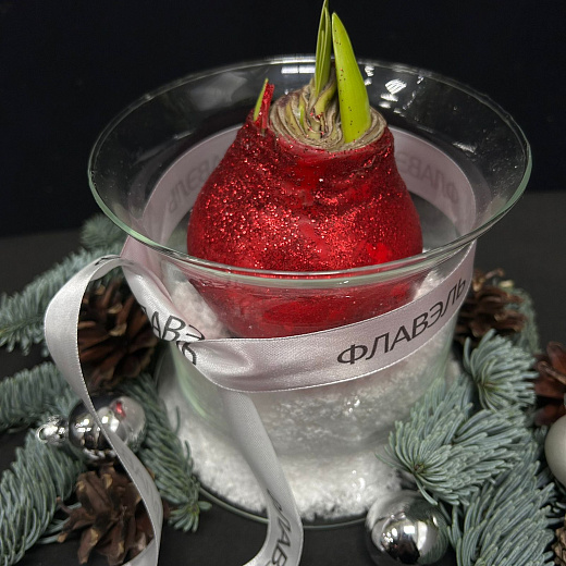 Луковица амариллиса в воске с вазой ( красные блёстки, мини ) по лучшей цене в Москве Луковица амариллиса в воске с вазой ( красные блёстки, мини ) с доставкой в Москве