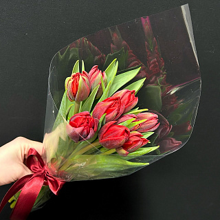 Букет из 9 красных  пионоивдных тюльпанов в прозрачной пленке