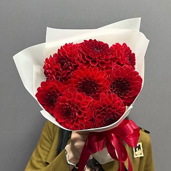 Букет из 9 красных георгин