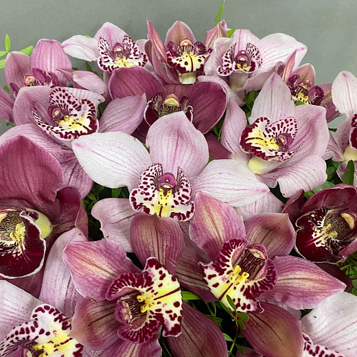 Букет из  25 розовых орхидей в корзине