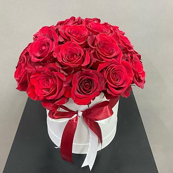 Букет из красных Эквадорских роз в белой коробке ( 25 шт)