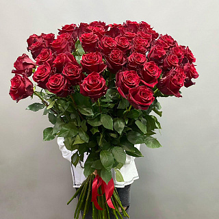 Букет из 49 Эквадорских роз (110 см)