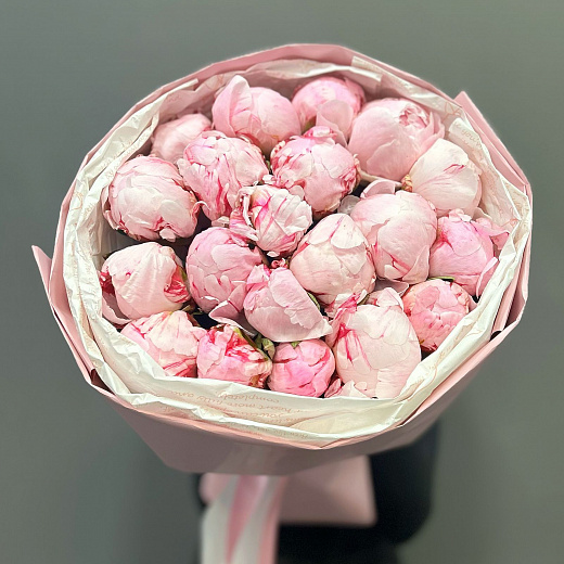 Букет из 15 розовых пионов Сара Бернар в круглой упаковке с доставкой в Москве