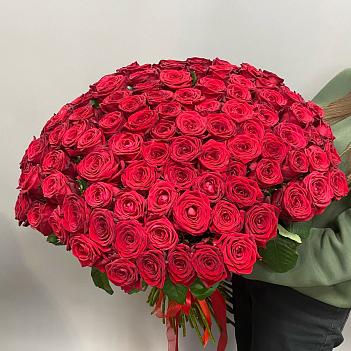 101 красная роза (80 см)