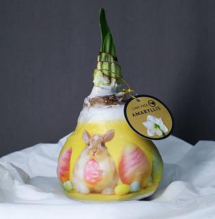 Луковица амариллиса в воске с рисунком (пасхальный заяц) + крафтовый пакет