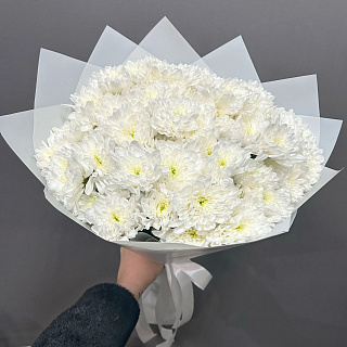 Букет из 9 белых кустовых хризантем в белой пленке