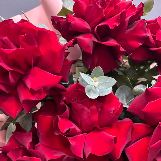 Букет из 9 красных Французских роз с эвкалиптом по лучшей цене в Москве Букет из 9 красных Французских роз с эвкалиптом с доставкой в Москве